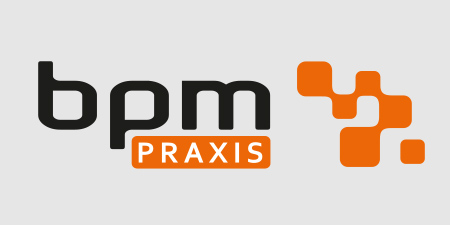 bpm-PRAXIS 2014